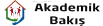 Akademik Bakış